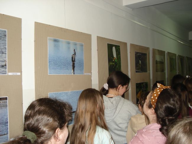 image 001