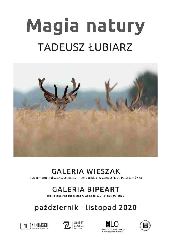 U góry plakatu, na białym tle znajduje się tytuł wystawy i jej autor: Magia czytania Tadeusz Łubiarz.  Poniżej informacji umieszczona jest fotografia przedstawiająca jelenie w zbożu. Pod fotografią znajduje się tekst informujący o tym, że wystawy Tadeusza Łubiarza zostaną zorganizowane w galerii WIESZAK – II Liceum Ogólnokształcącego w Zamościu przy ul. Partyzantów 68 i w galerii BIPEART Biblioteki Pedagogicznej w Zamościu przy ulicy Sienkiewicza 5. Wystawy będzie można oglądać w budynkach instytucji w okresie od października do listopada 2020 r.
U dołu plakatu umieszczone są logo Zamojskiego Towarzystwa Fotograficznego, II LO w Zamościu i Biblioteki Pedagogicznej w Zamościu oraz logo obchodów 440 lat Zamościa.
