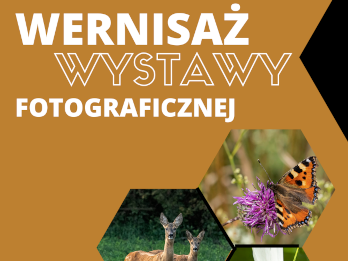 Biblioteka Pedagogiczna w Zamościu zaprasza na otwarcie wystawy pana Artura Wąsika.